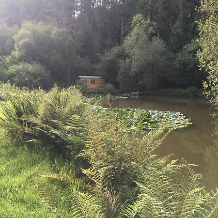 The Goose Nest Luxury Lakeside Shepherd Hut In Cardinham Woods, Cornwall Exteriér fotografie
