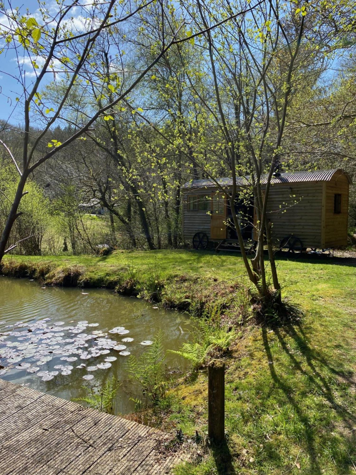 The Goose Nest Luxury Lakeside Shepherd Hut In Cardinham Woods, Cornwall Exteriér fotografie